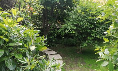 L'angolino apartment