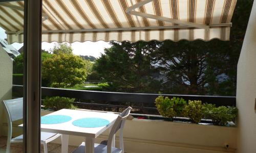 Studio LUMINEUX avec belle TERRASSE sur ESPACES VERTS, 100m PLAGE