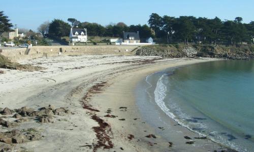 REF 039 Appartement T2 pour quatre personnes port Crouesty ARZON