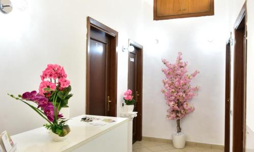 B&B Rome Terminal House