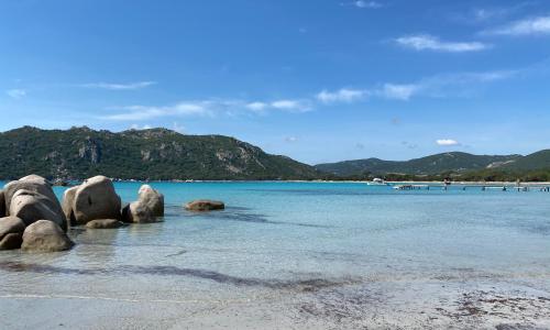 Appartement 2 pièces dans le centre historique de Porto Vecchio
