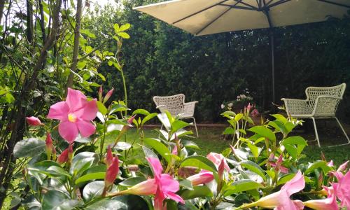 Bio B&B Vivere la Vita