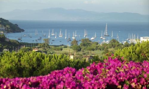 C'era una volta Frantoio