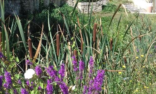 Le Clot de Meste Duran