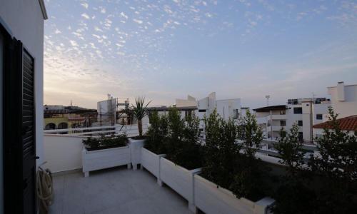 La Conchiglia appartamento Vieste mare