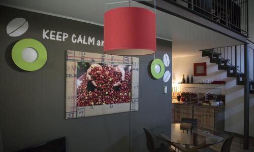 Loft Bocconi, IULM, Fondazione Prada, IEO