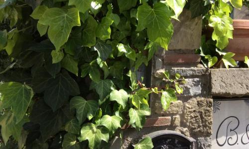 La Casa del Frate Rooms