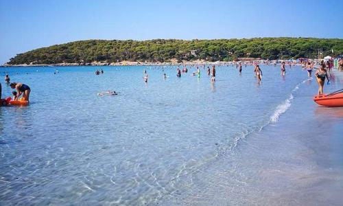 Affittacamere la Medusa