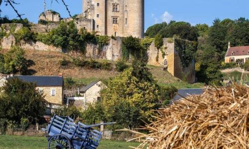 petite maison en pierre au coeur du Périgord noir