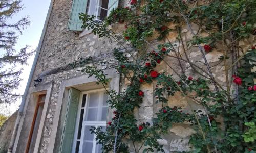 Mas de Férigoulet -