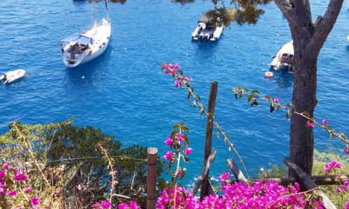 Lo Chalet tra gli ulivi