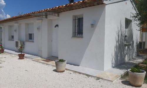 Le coin des Oliviers