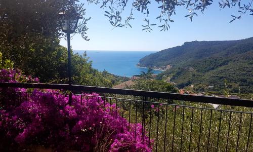 villino buganvillea Noli