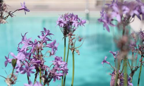 Appartamento da Ciuruzzo