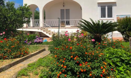 Villa Catenacci Anacapri