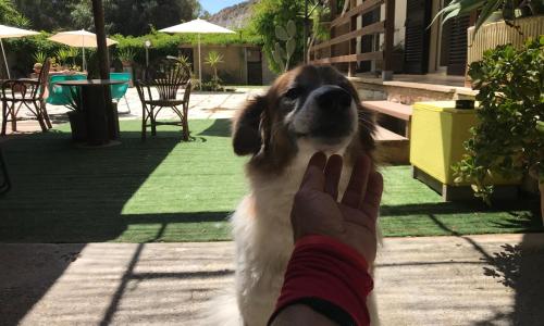 B&B Eraclea Minoa Mare