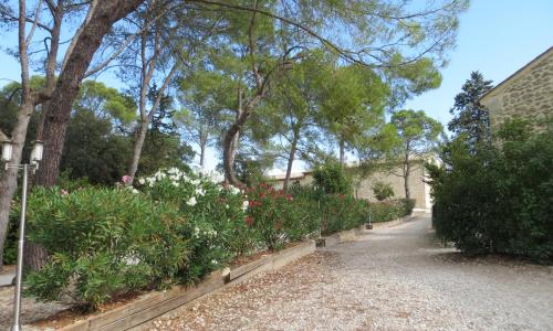 Les Studios-Hôtel de Sommières