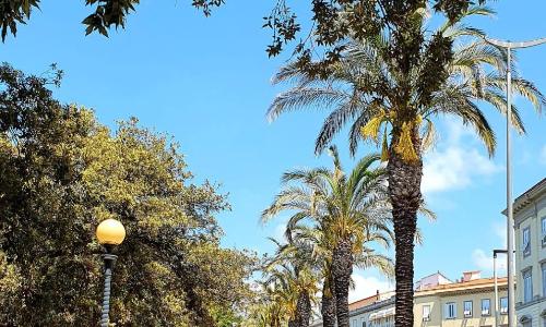 ALmare - Nice & Easy