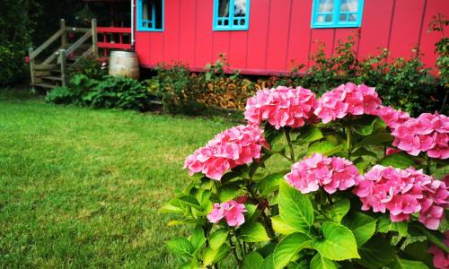 La Maison des Oiseaux. Roulotte