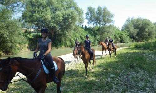 B&B Centro Ippico Andrea