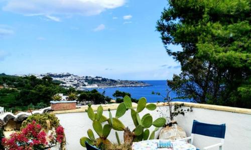 La Terrazza on Acquaviva