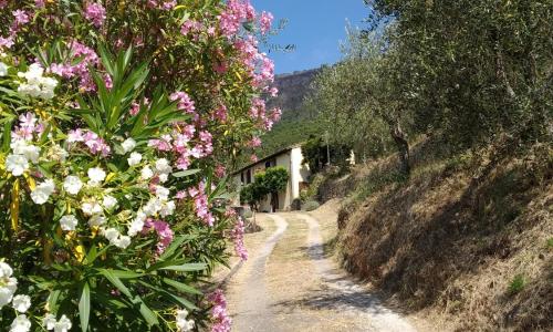 Casa Rurale SelvaDolivo