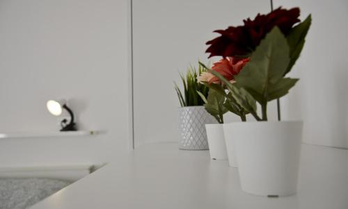 Appartamento Casa Giardino - Affitti Brevi Italia