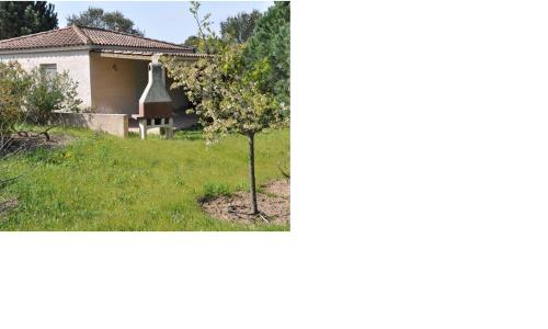 Figari : Villa arborée avec piscine