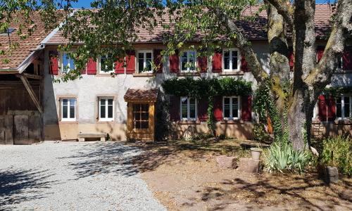 Le jardin des gouttes