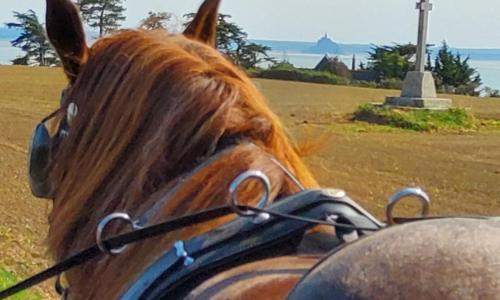 Chez Jollyjune, à moins d'une heure du Mont Saint Michel