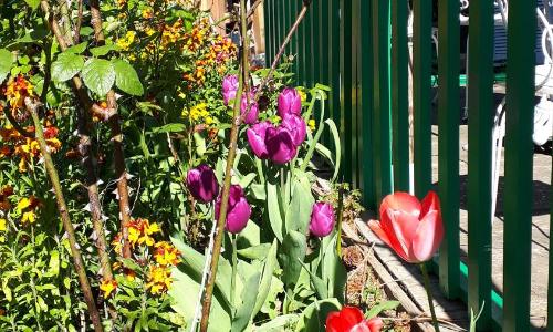 Le Jardin des Merveilles