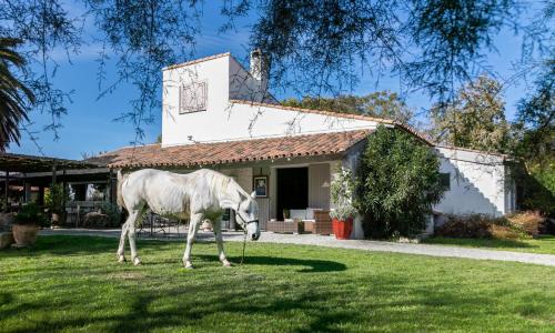 Hotel Mas Des Barres