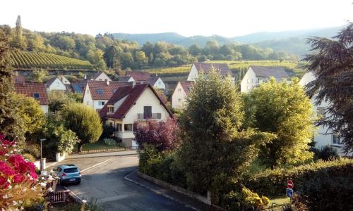 Marcia Donatti - A l'Ombre des Coteaux Sao Paulo