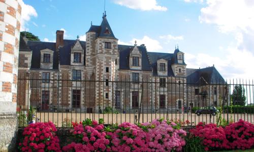 Appartement de 2 chambres avec piscine partagee jardin clos et wifi a Vernou sur Brenne