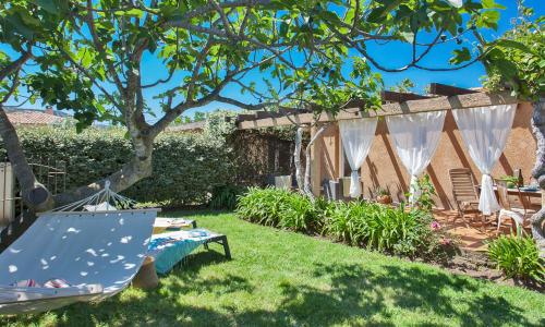 maison kiwi avec piscine chauffée terrasse jardin et bbq à Calvi
