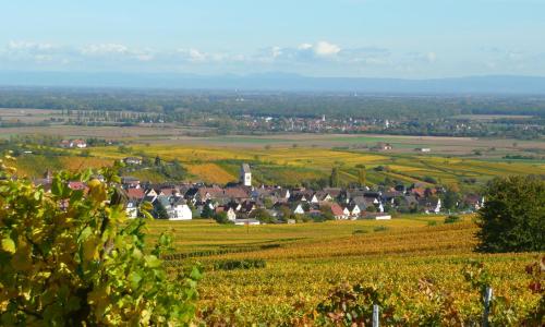 Le GM Maison de Vacances en Alsace