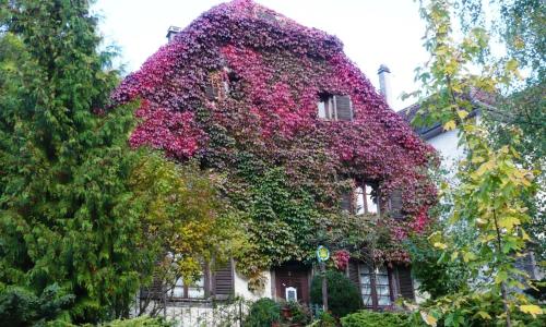 B&B de charme La Maison des 5 Temps