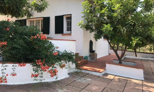 Villa Il Carrubo - Basilicata