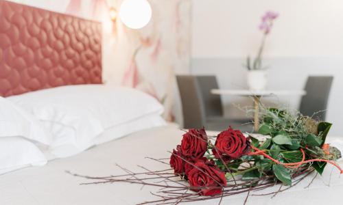 Hotel Giulietta e Romeo ***S