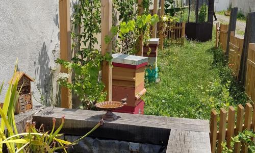 Angers Green Lodge - Cosy Studio