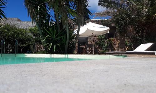 Cactus b&b Le casette di Marilena