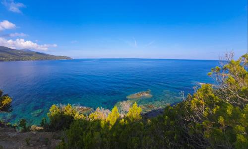 Residenza Le Tartarughe
