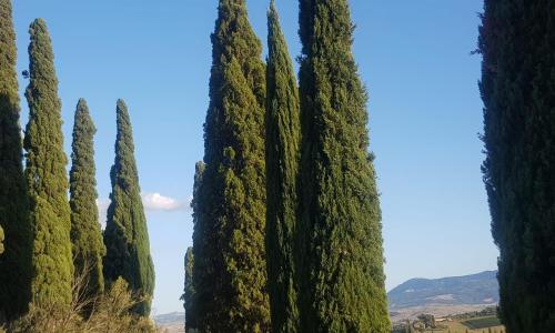 Dimora in San Quirico d'Orcia