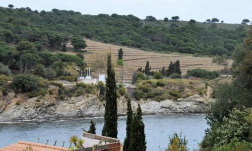 T3 familial avec accès direct à la plage.