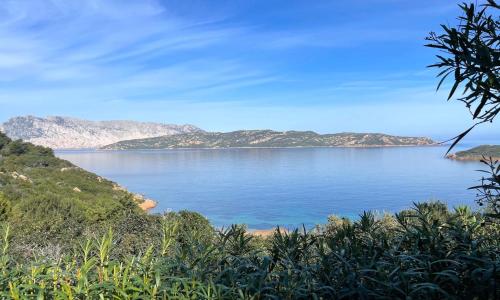 SAN TEODORO PUNTA EST GIARDINO VISTA MARe