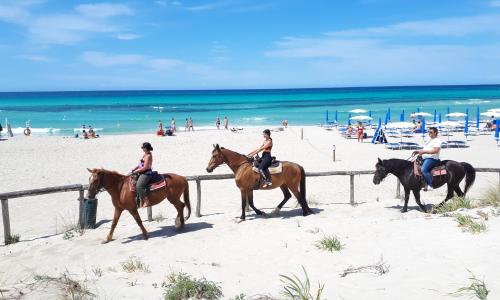 Le villette Blu di Torre Pali di Salentoinvacanza COM