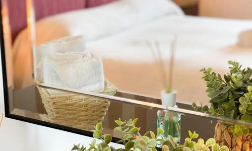 Cuore di Nozzano Castello