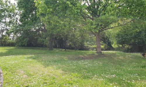 Cookie Gite 6/7 personnes proche Zoo Beauval