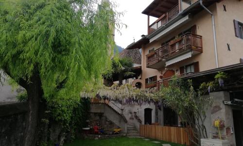 Haus Möltner - Apartment Aviam