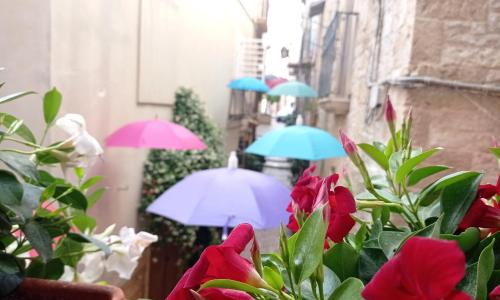 Palo del Colle Ierva Chiain, Guest House